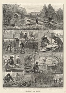 Kalankasvatus, Surrey Trout-farm
